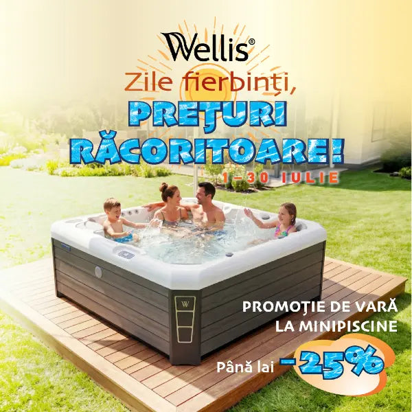 oferte promotionale wellis